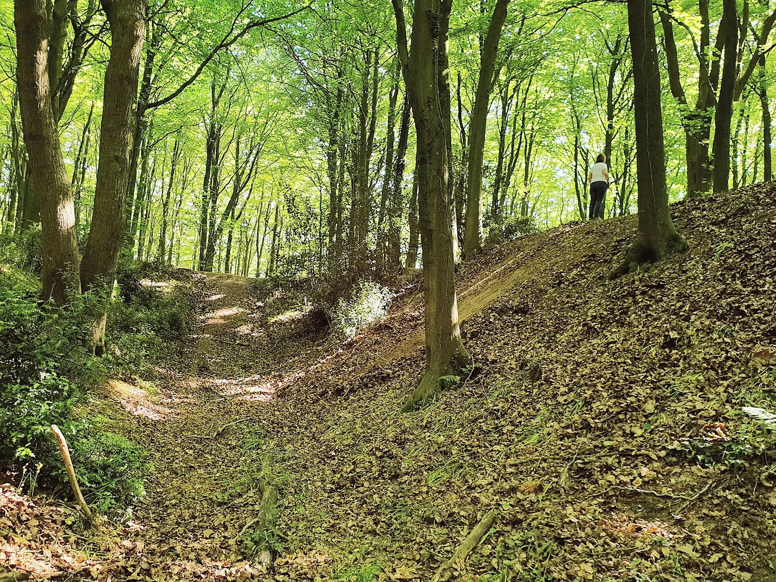 Roddenbury Hillfort
